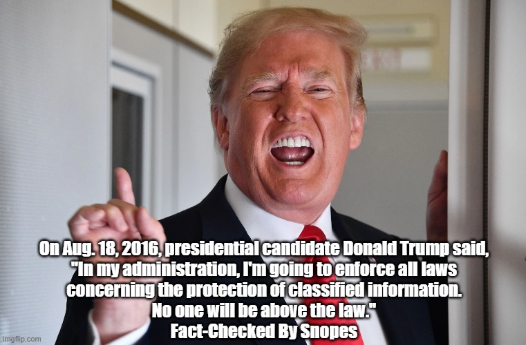 "No One Will Be Above The Law' - A Verbatim Quote By Donald Trump | On Aug. 18, 2016, presidential candidate Donald Trump said,
"In my administration, I'm going to enforce all laws
concerning the protection of classified information.
No one will be above the law."
Fact-Checked By Snopes | image tagged in trump,classified information,no one will be above the law,snopes fact checked | made w/ Imgflip meme maker