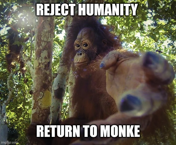 Return to monke (clean version) | REJECT HUMANITY; RETURN TO MONKE | image tagged in return to monke clean version | made w/ Imgflip meme maker