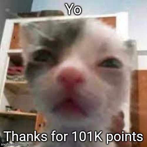 Cat lightskin stare | Yo; Thanks for 101K points | image tagged in cat lightskin stare | made w/ Imgflip meme maker