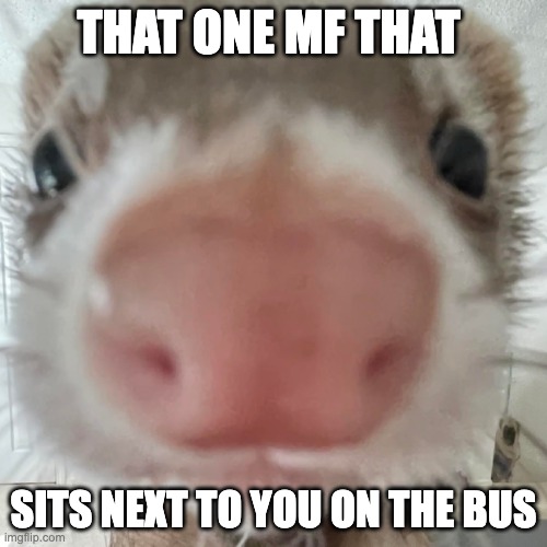 There's always that one kid... | THAT ONE MF THAT; SITS NEXT TO YOU ON THE BUS | image tagged in got game on your phone | made w/ Imgflip meme maker