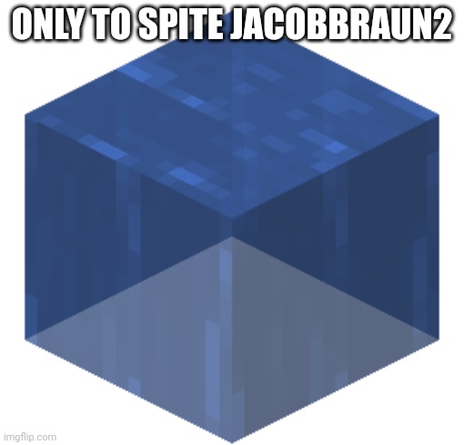 Trash can | ONLY TO SPITE JACOBBRAUN2 | image tagged in trash can | made w/ Imgflip meme maker