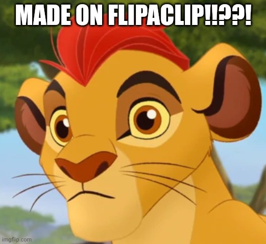 To spite jacobbraun2 | MADE ON FLIPACLIP!!??! | image tagged in confused kion | made w/ Imgflip meme maker