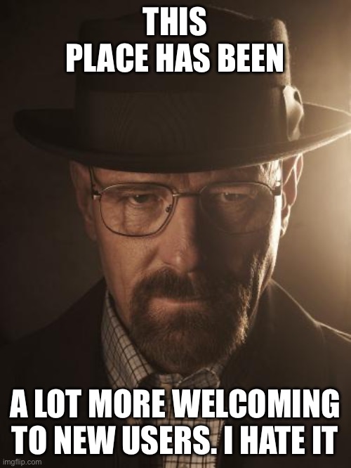 Walter White | THIS PLACE HAS BEEN; A LOT MORE WELCOMING TO NEW USERS. I HATE IT | image tagged in walter white | made w/ Imgflip meme maker