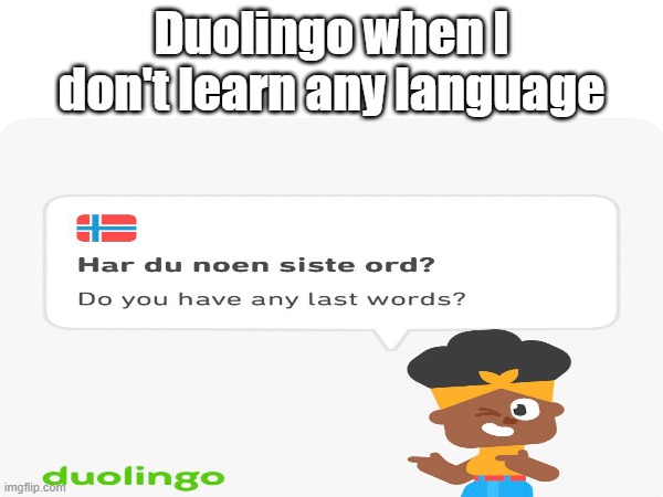 NO PLEASE DUOLINGO I WILL LEARN | Duolingo when I don't learn any language | image tagged in please | made w/ Imgflip meme maker
