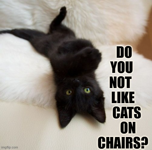 DO YOU   NOT    LIKE    CATS    ON CHAIRS? | made w/ Imgflip meme maker