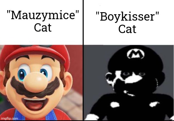 I can't forget it | "Boykisser" Cat; "Mauzymice" Cat | image tagged in happy mario vs dark mario | made w/ Imgflip meme maker