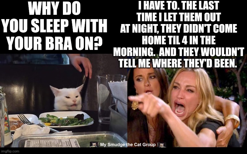 WHY DO YOU SLEEP WITH YOUR BRA ON? I HAVE TO. THE LAST TIME I LET THEM OUT AT NIGHT, THEY DIDN'T COME HOME TIL 4 IN THE MORNING.  AND THEY WOULDN'T TELL ME WHERE THEY'D BEEN. | image tagged in smudge the cat | made w/ Imgflip meme maker