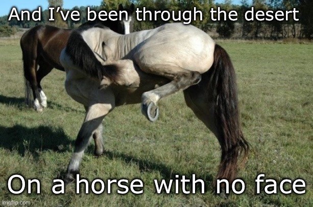 Horsing around | And I’ve been through the desert; On a horse with no face | image tagged in horse,funny horse | made w/ Imgflip meme maker