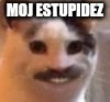 MOJ ESTUPIDEZ | made w/ Imgflip meme maker