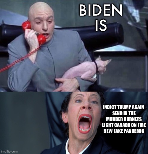 When demoRat corruption arises | BIDEN IS; INDICT TRUMP AGAIN 
SEND IN THE MURDER HORNETS
LIGHT CANADA ON FIRE
NEW FAKE PANDEMIC | image tagged in dr evil and frau,joe biden,government corruption,democrats,meanwhile in canada | made w/ Imgflip meme maker