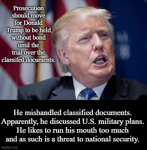 Lock Him Up | Prosecution should move for Donald Trump to be held without bond until the trial over the classifed documents. He mishandled classified documents.
Apparently, he discussed U.S. military plans.
He likes to run his mouth too much and as such is a threat to national security. | image tagged in donald trump derp | made w/ Imgflip meme maker
