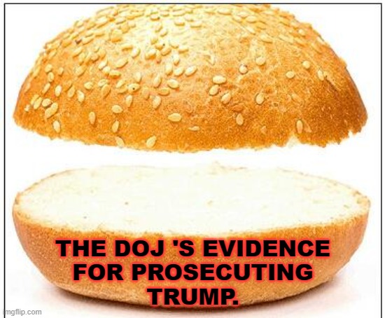 DOJ Evidence | THE DOJ 'S EVIDENCE
FOR PROSECUTING
TRUMP. | image tagged in nothing burger,doj,trump | made w/ Imgflip meme maker