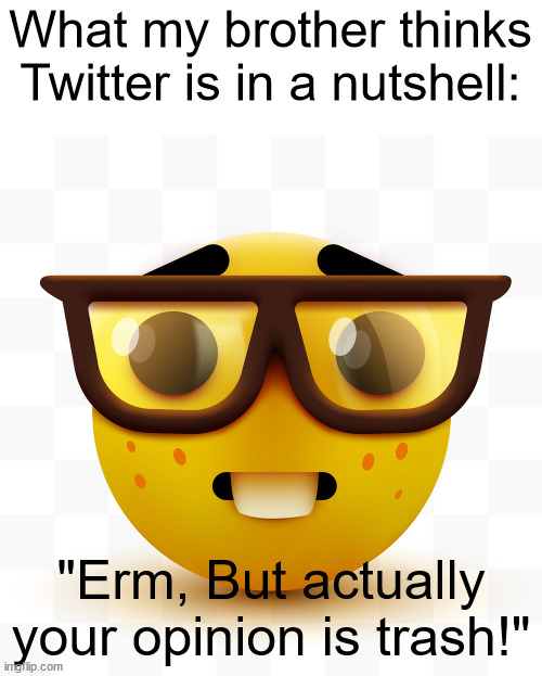 Even if my big bro is mean as heck, he does make a point. | What my brother thinks Twitter is in a nutshell:; "Erm, But actually your opinion is trash!" | image tagged in nerd emoji | made w/ Imgflip meme maker