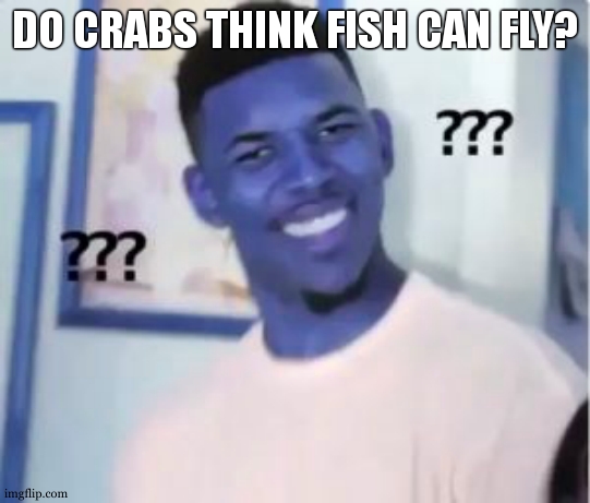 bruh i only stayed on img flip because of one person, but i still want to leave because in all my time ive never had a meme on t | DO CRABS THINK FISH CAN FLY? | image tagged in nick young | made w/ Imgflip meme maker