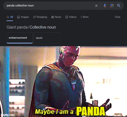ok | PANDA | image tagged in maybe i am a monster,why are you reading this | made w/ Imgflip meme maker