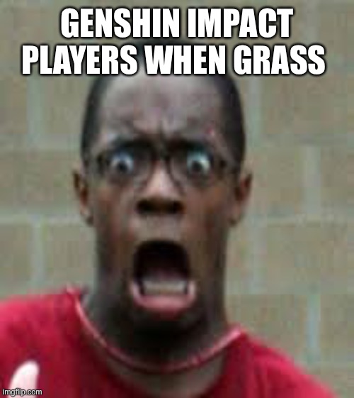 Scared Black Guy | GENSHIN IMPACT PLAYERS WHEN GRASS | image tagged in scared black guy | made w/ Imgflip meme maker