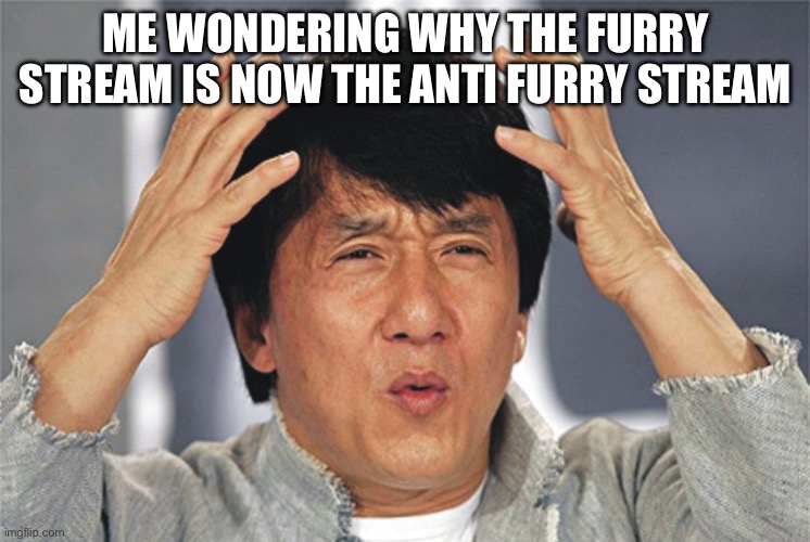 Image Title | ME WONDERING WHY THE FURRY STREAM IS NOW THE ANTI FURRY STREAM | image tagged in jackie chan confused,anti furry,furry | made w/ Imgflip meme maker