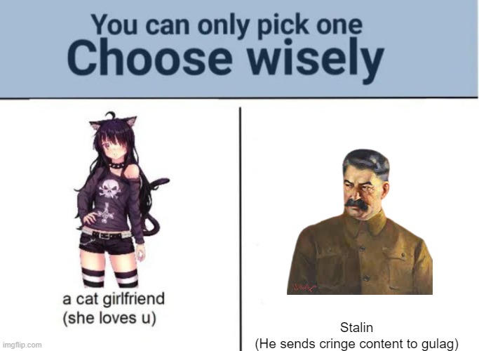 Choose wisely | Stalin
(He sends cringe content to gulag) | image tagged in choose wisely | made w/ Imgflip meme maker