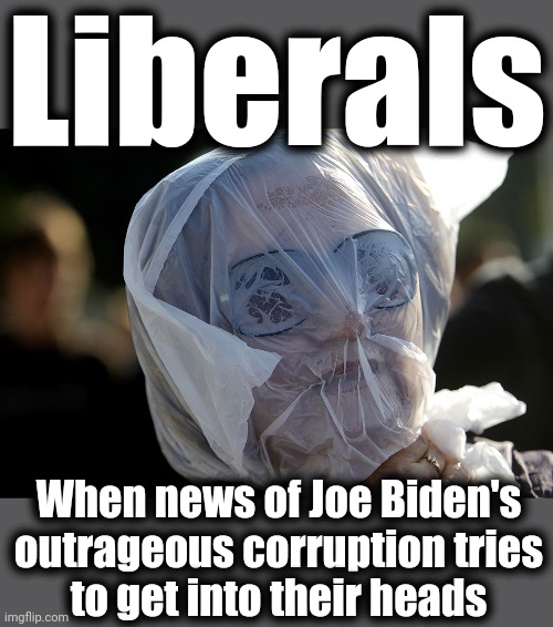 Avoiding the truth about the Biden Crime Syndicate | Liberals; When news of Joe Biden's
outrageous corruption tries
to get into their heads | image tagged in memes,democrats,joe biden,corruption,bribes,election 2024 | made w/ Imgflip meme maker