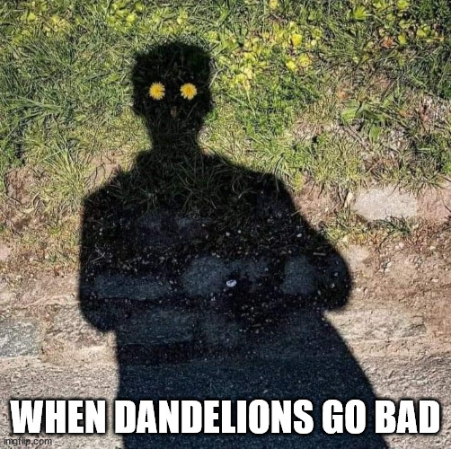 WHEN DANDELIONS GO BAD | image tagged in durl earl | made w/ Imgflip meme maker
