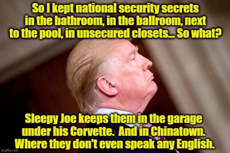 Trump's Defense | So I kept national security secrets in the bathroom, in the ballroom, next to the pool, in unsecured closets... So what? Sleepy Joe keeps them in the garage under his Corvette.  And in Chinatown.  Where they don't even speak any English. | image tagged in corruption,donald trump the clown,time magazine person of the year,maga,trump,nevertrump | made w/ Imgflip meme maker