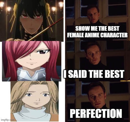 Underrated girl | SHOW ME THE BEST FEMALE ANIME CHARACTER; I SAID THE BEST; PERFECTION | image tagged in perfection | made w/ Imgflip meme maker