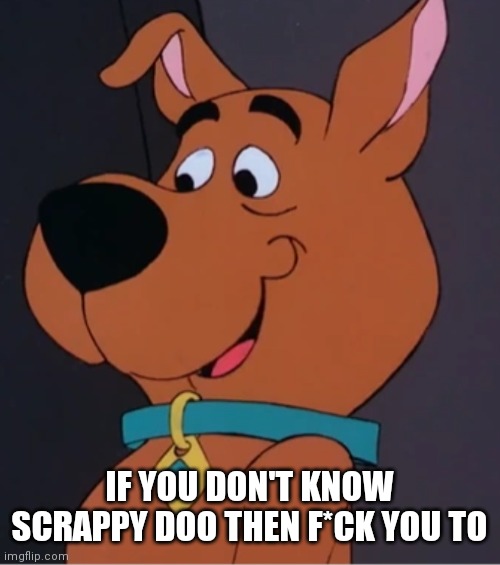 So make sure you know him | IF YOU DON'T KNOW SCRAPPY DOO THEN F*CK YOU TO | image tagged in funny memes,scrappy doo,f you to,cartoons | made w/ Imgflip meme maker