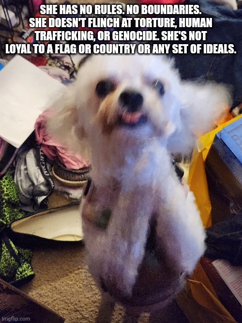 Evil dog | SHE HAS NO RULES. NO BOUNDARIES. SHE DOESN'T FLINCH AT TORTURE, HUMAN TRAFFICKING, OR GENOCIDE. SHE'S NOT LOYAL TO A FLAG OR COUNTRY OR ANY SET OF IDEALS. | image tagged in memes,funny,call of duty | made w/ Imgflip meme maker