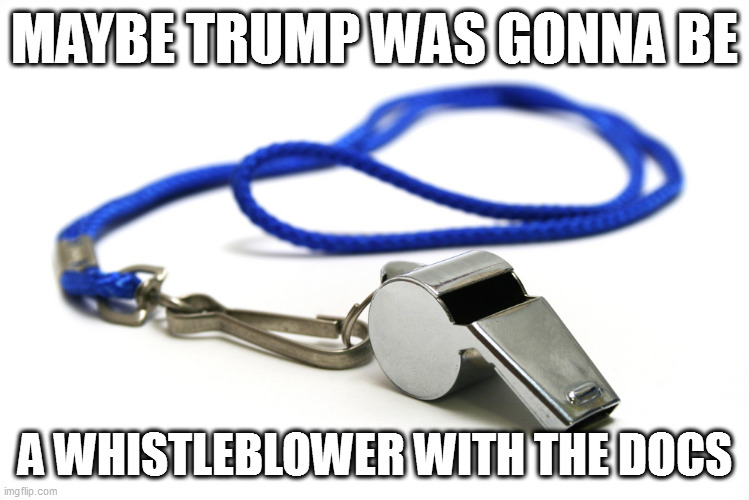 I mean, c'mon - one was an insane plan of Milley's calling for a quarter million troops in Iran | MAYBE TRUMP WAS GONNA BE; A WHISTLEBLOWER WITH THE DOCS | image tagged in whistle | made w/ Imgflip meme maker