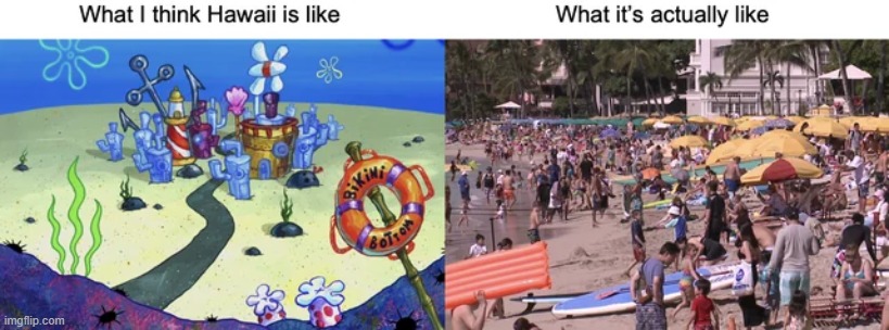 image tagged in memes | made w/ Imgflip meme maker