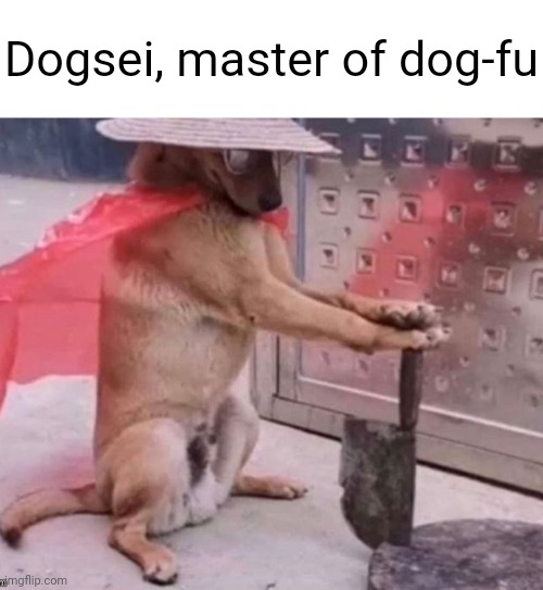 Dogsei, master of dog-fu | made w/ Imgflip meme maker