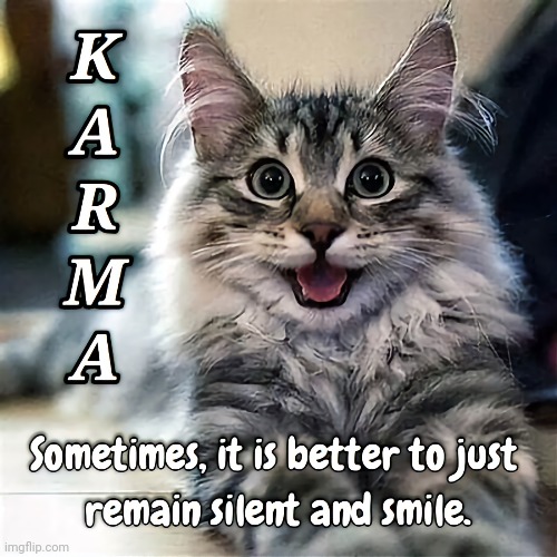 Karma | image tagged in karma,silence | made w/ Imgflip meme maker