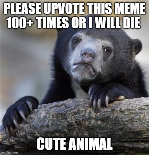 Confession Bear Meme | PLEASE UPVOTE THIS MEME 100+ TIMES OR I WILL DIE; CUTE ANIMAL | image tagged in memes,confession bear | made w/ Imgflip meme maker