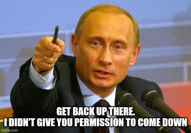 Good Guy Putin Meme | GET BACK UP THERE.
I DIDN'T GIVE YOU PERMISSION TO COME DOWN | image tagged in memes,good guy putin | made w/ Imgflip meme maker