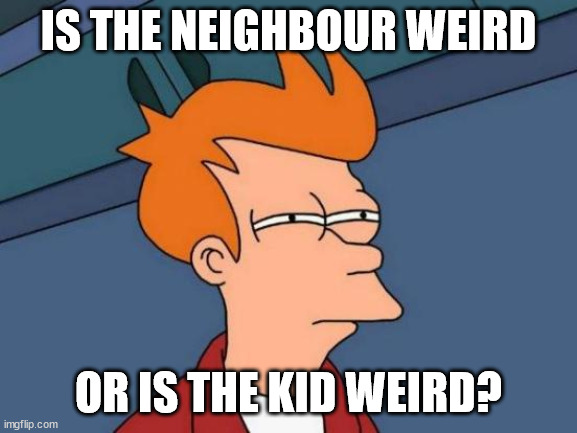 Futurama Fry Meme | IS THE NEIGHBOUR WEIRD OR IS THE KID WEIRD? | image tagged in memes,futurama fry | made w/ Imgflip meme maker