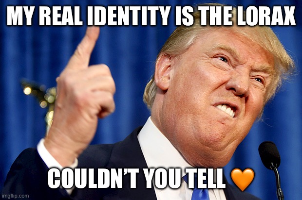 Trump and lorax, as one | MY REAL IDENTITY IS THE LORAX; COULDN’T YOU TELL 🧡 | image tagged in donald trump,the lorax,lorax,fun,funny,funny memes | made w/ Imgflip meme maker