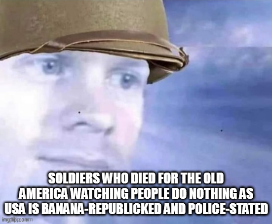 SOLDIERS WHO DIED FOR THE OLD AMERICA WATCHING PEOPLE DO NOTHING AS USA IS BANANA-REPUBLICKED AND POLICE-STATED | made w/ Imgflip meme maker