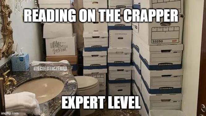 READING ON THE CRAPPER; @ECLECTICZEBRA; EXPERT LEVEL | image tagged in reading | made w/ Imgflip meme maker