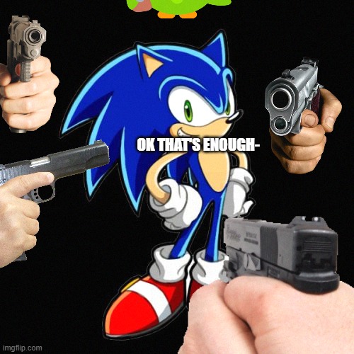 Oh no | OK THAT'S ENOUGH- | image tagged in sonic,sonic the hedgehog,memes,funny,funny memes | made w/ Imgflip meme maker