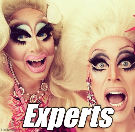 Surprised Drag Queens | Experts | image tagged in surprised drag queens | made w/ Imgflip meme maker