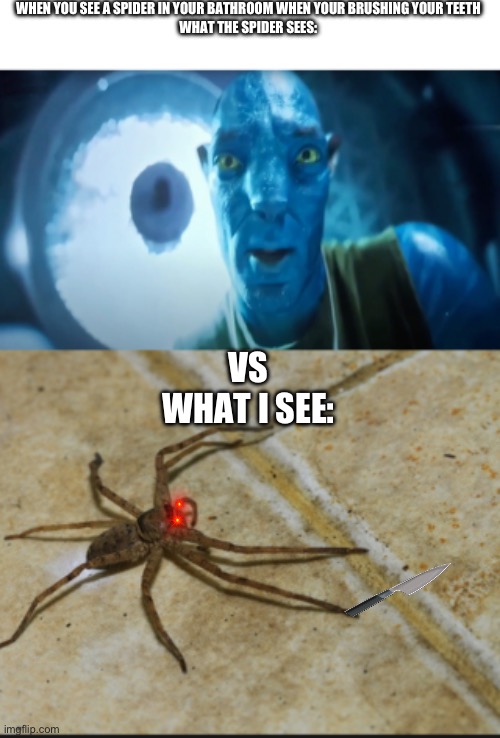 OH NO, THE SPIDER IS GONNA CHOP MY TOES OFF AND EAT THEM!! | WHEN YOU SEE A SPIDER IN YOUR BATHROOM WHEN YOUR BRUSHING YOUR TEETH
WHAT THE SPIDER SEES:; VS
WHAT I SEE: | image tagged in staring avatar guy,spider | made w/ Imgflip meme maker