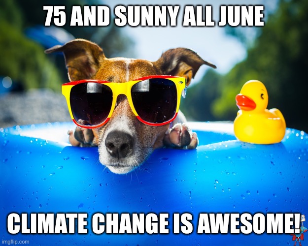 They just want you to think the world is ending. | 75 AND SUNNY ALL JUNE; CLIMATE CHANGE IS AWESOME! | image tagged in summerdog,funny memes,politics,global warming,climate change,lies | made w/ Imgflip meme maker
