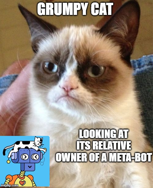 nft | GRUMPY CAT; LOOKING AT ITS RELATIVE OWNER OF A META-BOT | image tagged in memes,grumpy cat | made w/ Imgflip meme maker