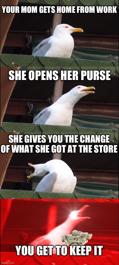 MONEYY | YOUR MOM GETS HOME FROM WORK; SHE OPENS HER PURSE; SHE GIVES YOU THE CHANGE OF WHAT SHE GOT AT THE STORE; YOU GET TO KEEP IT | image tagged in memes,inhaling seagull | made w/ Imgflip meme maker