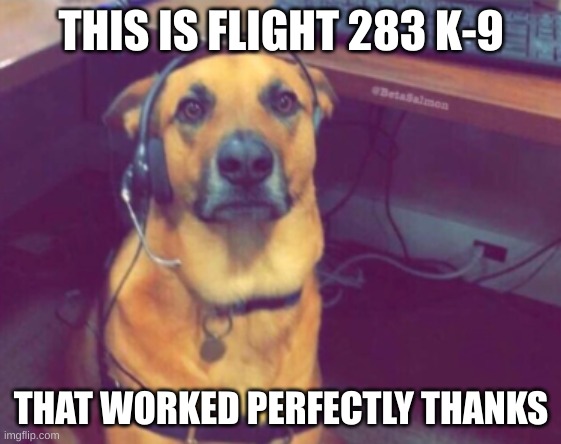 dog with headset | THIS IS FLIGHT 283 K-9 THAT WORKED PERFECTLY THANKS | image tagged in dog with headset | made w/ Imgflip meme maker