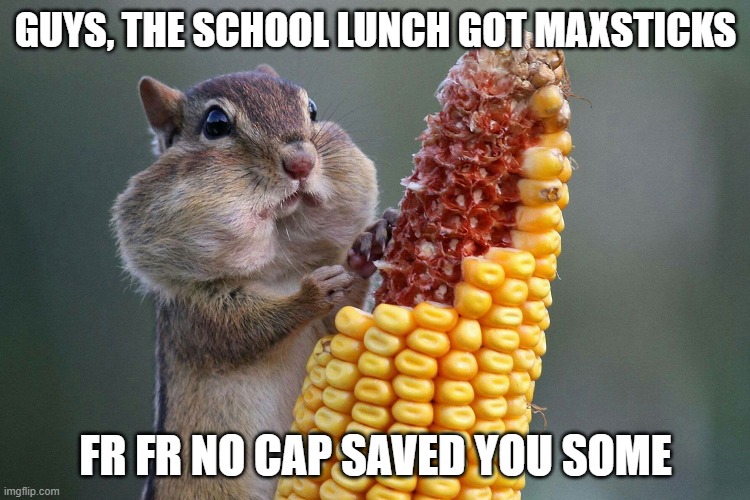 Chipmunk feast | GUYS, THE SCHOOL LUNCH GOT MAXSTICKS; FR FR NO CAP SAVED YOU SOME | image tagged in chipmunk feast | made w/ Imgflip meme maker