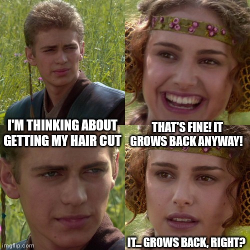 It grows back | I'M THINKING ABOUT GETTING MY HAIR CUT; THAT'S FINE! IT GROWS BACK ANYWAY! IT... GROWS BACK, RIGHT? | image tagged in anakin padme 4 panel | made w/ Imgflip meme maker