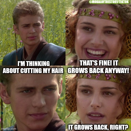 Moralofthestory, anakin, padme, longhair boy, don't do it | ©️MORALOFTHESTORY/TIKTOK; THAT'S FINE! IT GROWS BACK ANYWAY! I'M THINKING ABOUT CUTTING MY HAIR; IT GROWS BACK, RIGHT? | image tagged in anakin padme 4 panel | made w/ Imgflip meme maker