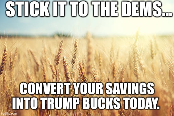 Trump bucks suckers | STICK IT TO THE DEMS…; CONVERT YOUR SAVINGS INTO TRUMP BUCKS TODAY. | image tagged in wheat field | made w/ Imgflip meme maker