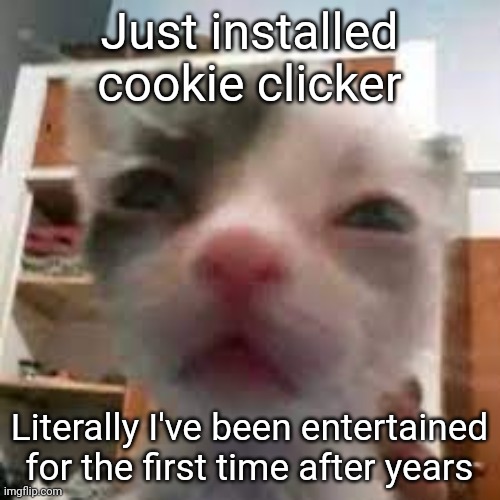 Cat lightskin stare | Just installed cookie clicker; Literally I've been entertained for the first time after years | made w/ Imgflip meme maker